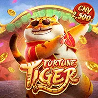 pop555 fortune tiger