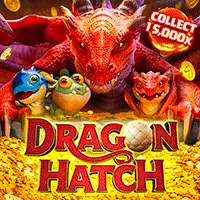 pop555 dragon hatch